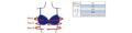 Jobst Bellisse Bra with Compressure Comfort - SunMED Choice