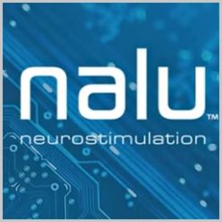 Nalu Logo